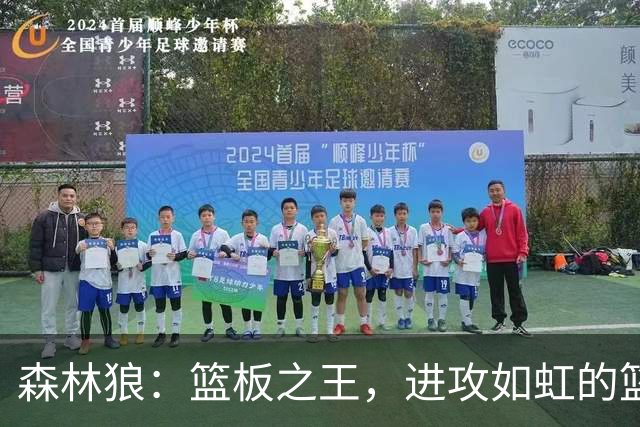 森林狼：篮板之王，进攻如虹的篮球奇迹